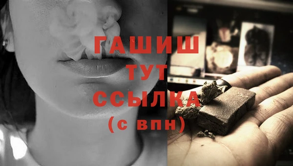 прущие грибы Верея