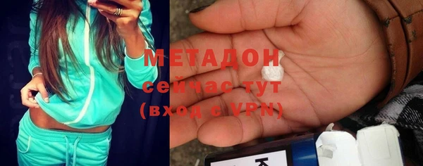 прущие грибы Верея