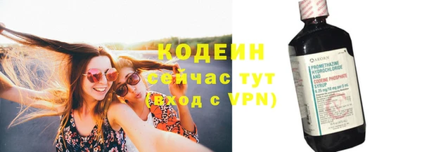 прущие грибы Верея
