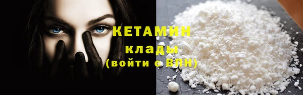 прущие грибы Верея