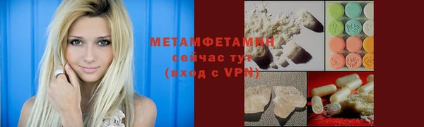 прущие грибы Верея