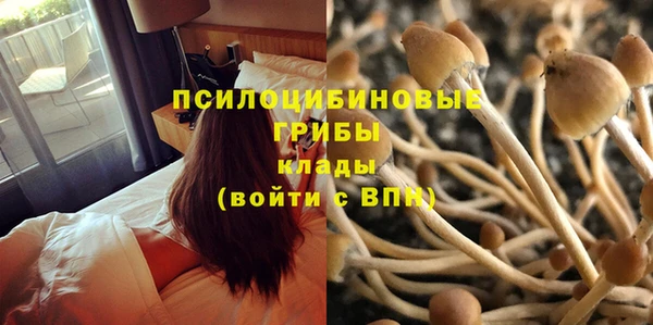 марки lsd Верхний Тагил
