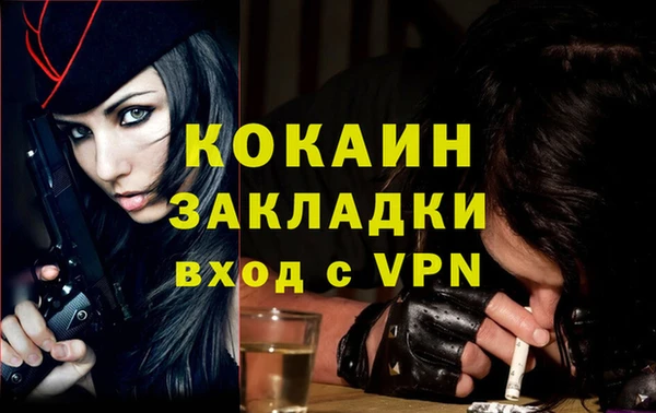 прущие грибы Верея