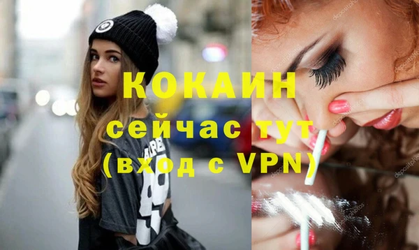 прущие грибы Верея