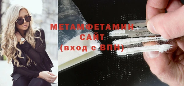 прущие грибы Верея