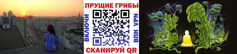Псилоцибиновые грибы мухоморы  Купить закладки  Кунгур 